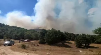 Afyonkarahisar'da Orman Yangını