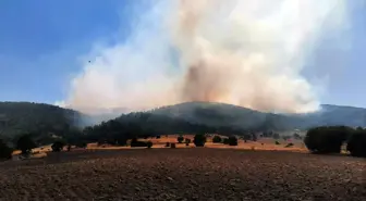 Afyonkarahisar'da Orman Yangını