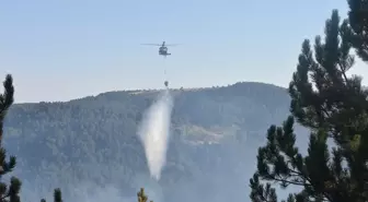 Afyonkarahisar'da Orman Yangını