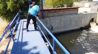 Antalya'da Deniz Kirliliğine Neden Olan Arıtma Tesisi İçin Cezai İşlem Uygulandı