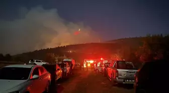 Çankırı Ilgaz'da Orman Yangını Kontrol Altına Alınmaya Çalışılıyor