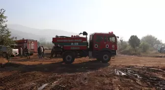 Çankırı'da Orman Yangını Kontrol Altına Alınmaya Çalışılıyor