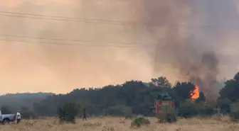 Keşan'da çıkan anız yangını ormana sıçradı