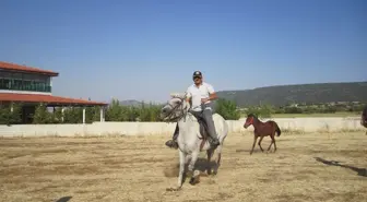 Denizli'nin Kale ilçesinde at çiftliği kuruldu