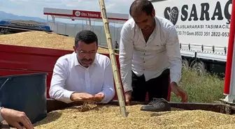 AK Parti Kars Milletvekili Adem Çalkın, Selim'de TMO alımlarını inceledi