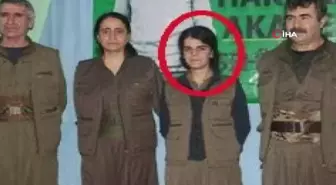 Milli İstihbarat Teşkilatı, Irak/Hakurk'ta düzenlediği operasyonla PKK/KCK'lı Sema Cuya Çevlik kod Zilan Azak'ı etkisiz hale getirdi