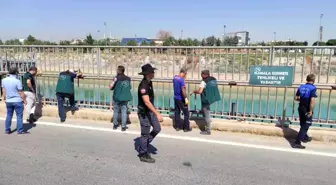 Şanlıurfa'da Sulama Kanalında Dev Kaplumbağa Bulundu