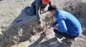 Çorum Şapinuva Antik Kenti'nde kazılar başladı