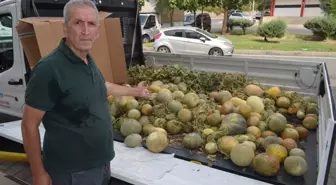 Çiftçi, Kavunları Lösemili Çocuklara Bağışladı