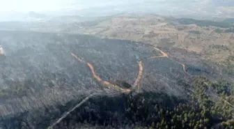 Çankırı'da çıkan orman yangınının tahribatı dron ile görüntülendi