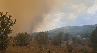 ANKARA'DA YANGIN: Son dakika Ankara'da orman yangını mı çıktı? Orman yangını söndürüldü mü?