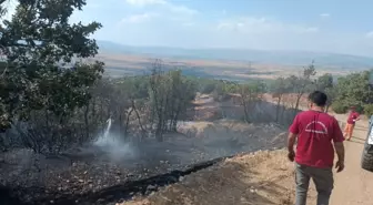 Bingöl Genç'te Orman Yangını Söndürüldü