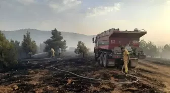 Denizli Çivril'de Orman Yangını