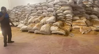 Gaziantep'te 60 Ton Domates ve 15 Ton Havuç Posası Ele Geçirildi