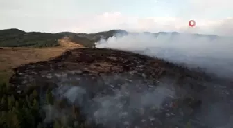 Gerede'deki orman yangını böyle görüntülendi