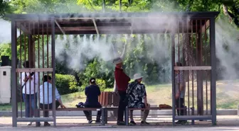 Güney Kore'de Aşırı Sıcaklar Nedeniyle Ölü Sayısı 28'e Yükseldi