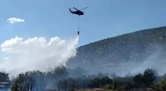 Isparta'da çıkan orman yangını hızlı müdahale ile söndürüldü