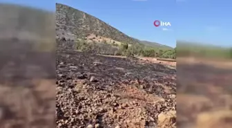 Isparta'da çıkan orman yangını hızlı müdahale ile söndürüldü