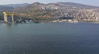 İzmir Körfezi'ndeki Balık Ölümleri Plankton Artışından Kaynaklanıyor