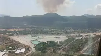 İzmir'de Orman Yangını Çıktı