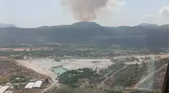 İzmir'in Menderes ilçesinde ormanlık alanda çıkan yangına müdahale başlatıldı