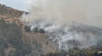 Ankara ve Bolu'da Orman Yangını Kontrol Altına Alındı