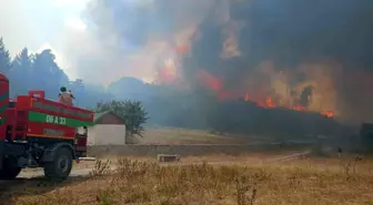 Kızılcahamam'da çıkan yangında görgü tanığından dua isteği