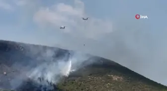 Menderes'te orman yangını