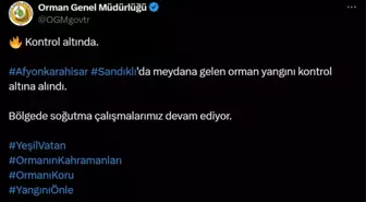 Afyonkarahisar Sandıklı'da çıkan orman yangını kontrol altına alındı