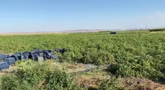 Utku Çakırözer: Üretici Kan Ağlıyor Ama Ülkeyi Yönetenler Tarladaki Gerçeklerden Bihaberler