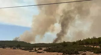 Muğla'da Arıcılık Yapan Baba ve Oğul Tutuklandı