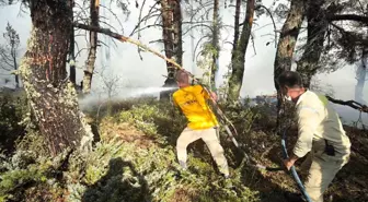 Ankara-Bolu sınırındaki yangına günün ilk ışıklarıyla havadan müdahale başladı