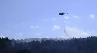 Ankara'da çıkan orman yangını Bolu'ya sıçradı