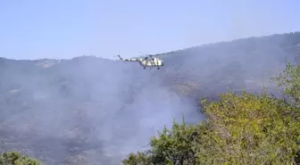 Yeniden Canlanan Alevler Kontrol Altında