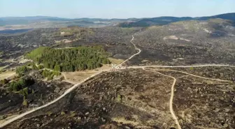 Ankara'da başlayan orman yangını Gerede'ye sıçradı