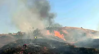 Bingöl'de İki Orman Yangını Söndürüldü