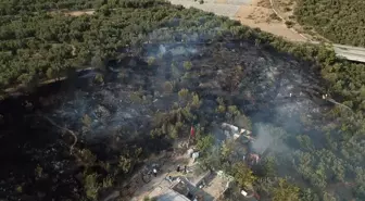 Bursa'da barakada çıkan yangın zeytin ağaçlarına sıçradı