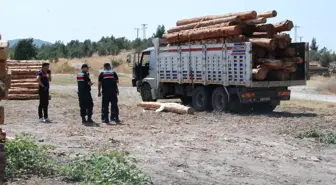 Çanakkale'de Tomruk Kazası: Kamyon Sürücüsü Hayatını Kaybetti