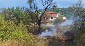 Çınarcık'ta Zeytinlik Alanında Yangın Kontrol Altına Alındı