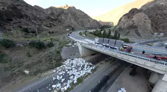 Erzurum'da freni patlayan tırın devrilmesi sonucu 1 kişi hayatını kaybetti