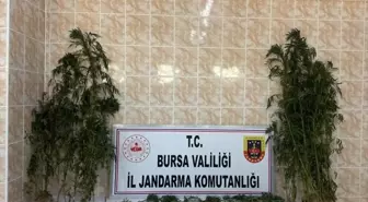 İznik'te Uyuşturucu Operasyonunda Yakalanan Zanlı Tutuklandı