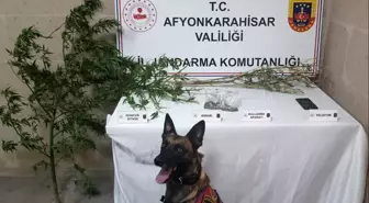 Afyonkarahisar'da Uyuşturucu Operasyonu