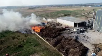 Kırklareli'nde geri dönüşüm tesisinde çıkan yangın söndürüldü