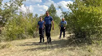 Bolu'da Orman Yangınlarına Karşı Denetimler Sürüyor