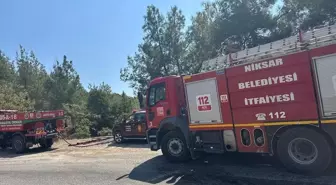 Tokat'ın Niksar ilçesinde çıkan orman yangını kısa sürede söndürüldü