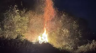 Tokat'ın Niksar ilçesinde orman yangını: 2 hektarlık alan zarar gördü