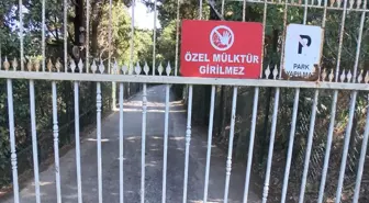 Vaniköy'de Orman Arazisinde İnşaat İncelemesi