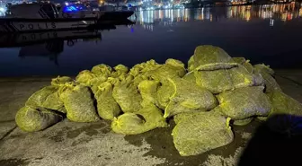 Beyoğlu Kabataş Sahilinde Yasak Yolla Midye Çıkaran Şahsa Cezai İşlem Uygulandı