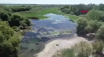 Antalya'da Kırkgöz'de Kuraklık Tehlikesi