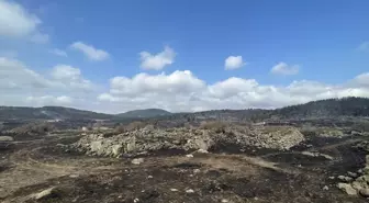 Ankara'da çıkan yangın kontrol altına alındı